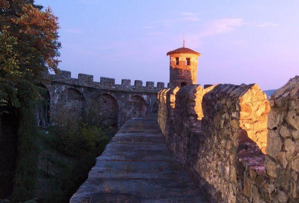 Готель Castello Di Pavone Pavone Canavese Екстер'єр фото